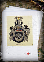 velin-d-Arches-HESS_Wappenbuch der Stadt Basel . B.Meyer Knaus 1880_Schweiz