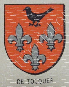 De TOCQUES