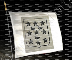 drapeau-de LORME de PAGNAT_ Comtesse. Vichy. Bourbonnais._France (1)