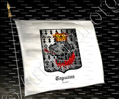 drapeau-CAPUANA_Napoli_Italia