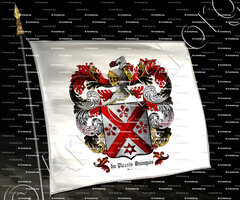 drapeau-du PLESSIS QUINQUIS_Bretagne_France (ii)