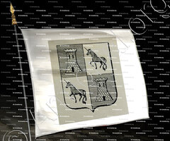 drapeau-DOUHET de PUY-MOLIER_Bourbonnais. Vichy._France (1)