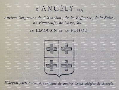 ANGELY