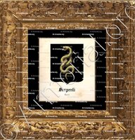 cadre-ancien-or-SERPENTI_Lucca_Italia (2)