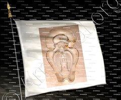 drapeau-CASTELLI_Cefalù. Sicilia._Italia 