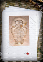 velin-d-Arches-CASTELLI_Cefalù. Sicilia._Italia 