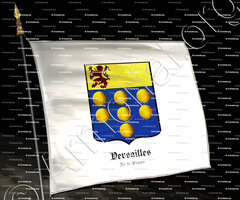 drapeau-VERSAILLES_Île-de-France_France (2)
