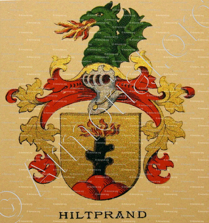 HILTPRAND_Wappenbuch der Stadt Basel . B.Meyer Knaus 1880_Schweiz