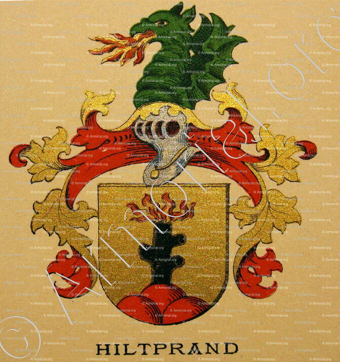 HILTPRAND_Wappenbuch der Stadt Basel . B.Meyer Knaus 1880_Schweiz