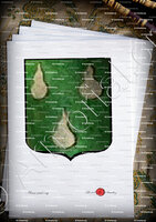 velin-d-Arches-AMPROUX_Armorial de France. Poitou. 1696._France