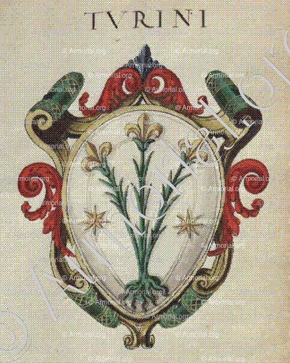 TURINI_Roma, Viterbo_Italia