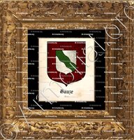cadre-ancien-or-EAUZE_Gers_France (+)
