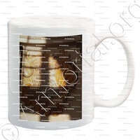 mug-RECROSIO_Chierico, vescovo di Nizza, 1729._Francia