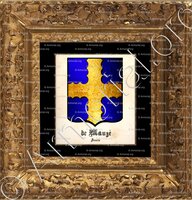 cadre-ancien-or-de MAUZÉ_Aunis_France