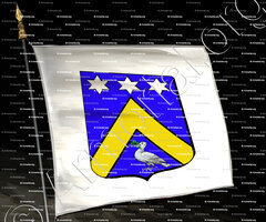 drapeau-ANGLES_Forez_France (i)
