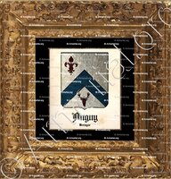 cadre-ancien-or-ANGUY_Bretagne_France