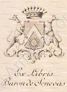 TERRASSON de SENEVAS