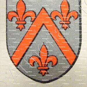 de VIEURE alias de LA SALLE de VIEURE_Bourbonnais_France  (2)