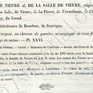 de VIEURE alias de LA SALLE de VIEURE_Bourbonnais_France  (6)