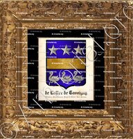 cadre-ancien-or-de LATTRE de TASSIGNY_Flandre, Soissonnais, Pays de Guise, Bas-Poitou._France