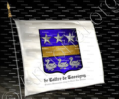 drapeau-de LATTRE de TASSIGNY_Flandre, Soissonnais, Pays de Guise, Bas-Poitou._France