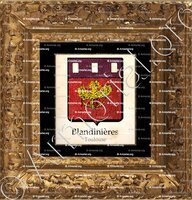 cadre-ancien-or-BLANDINIERES_Toulouse_France (rtp)