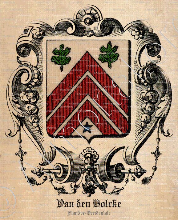 Van den BOLCKE_Flandre Occidentale_Belgique (3)