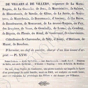 de VILLARS_Bourbonnais_France (5)