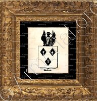 cadre-ancien-or-MADOETS_Armorial royal des Pays-Bas_Europe