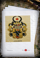 velin-d-Arches-HOLBEIN_Wappenbuch der Stadt Basel . B.Meyer Knaus 1880_Schweiz