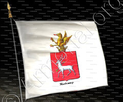 drapeau-MAELCAMP_Armorial royal des Pays-Bas_Europe