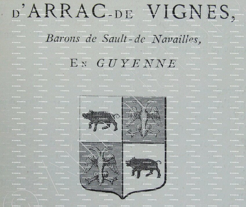ARRAC de VIGNES_Guyenne_France
