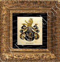 cadre-ancien-or-HOLZACH_Wappenbuch der Stadt Basel . B.Meyer Knaus 1880_Schweiz