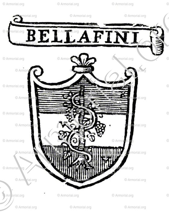 BELLAFINI_Padova_Italia