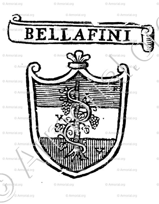 BELLAFINI_Padova_Italia