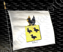 drapeau-MAHIEU_Armorial royal des Pays-Bas_Europe.
