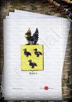 velin-d-Arches-MAHIEU_Armorial royal des Pays-Bas_Europe.