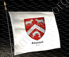 drapeau-SCHAPELYNCK_Brugge_België (2)
