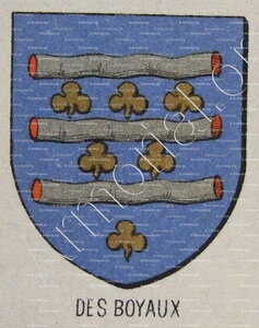 Des BOYAUX
