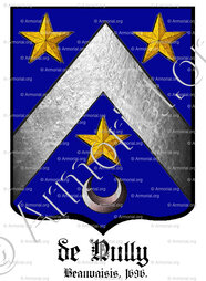 De NULLY Coat Of Arms Heraldry Etymology And Origin Family Name 