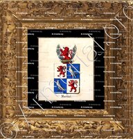 cadre-ancien-or-MARTINI_Armorial royal des Pays-Bas_Europe..