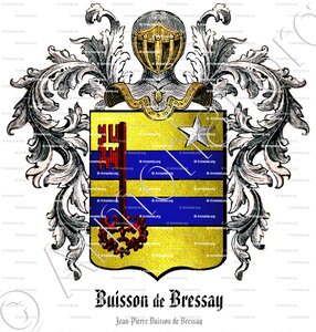 BUISSON de BRESSAY