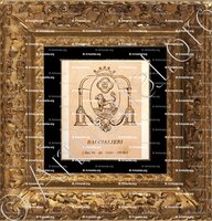 cadre-ancien-or-BACCIALIERI_Corse. Armorial Corse, 1892._France (1)