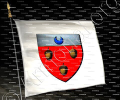 drapeau-LOCHE de VANZY_Duché de Savoie_États de Savoie (de Loche)