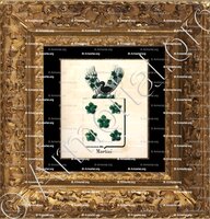 cadre-ancien-or-MARTINI_Armorial royal des Pays-Bas_Europe.