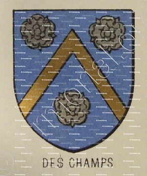 des CHAMPS_Bourbonnais_France