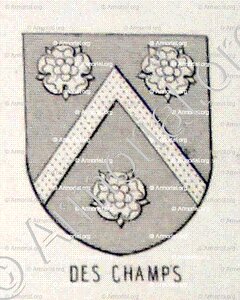 Des CHAMPS