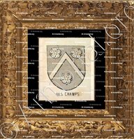cadre-ancien-or-des CHAMPS_Bourbonnais_France (6)
