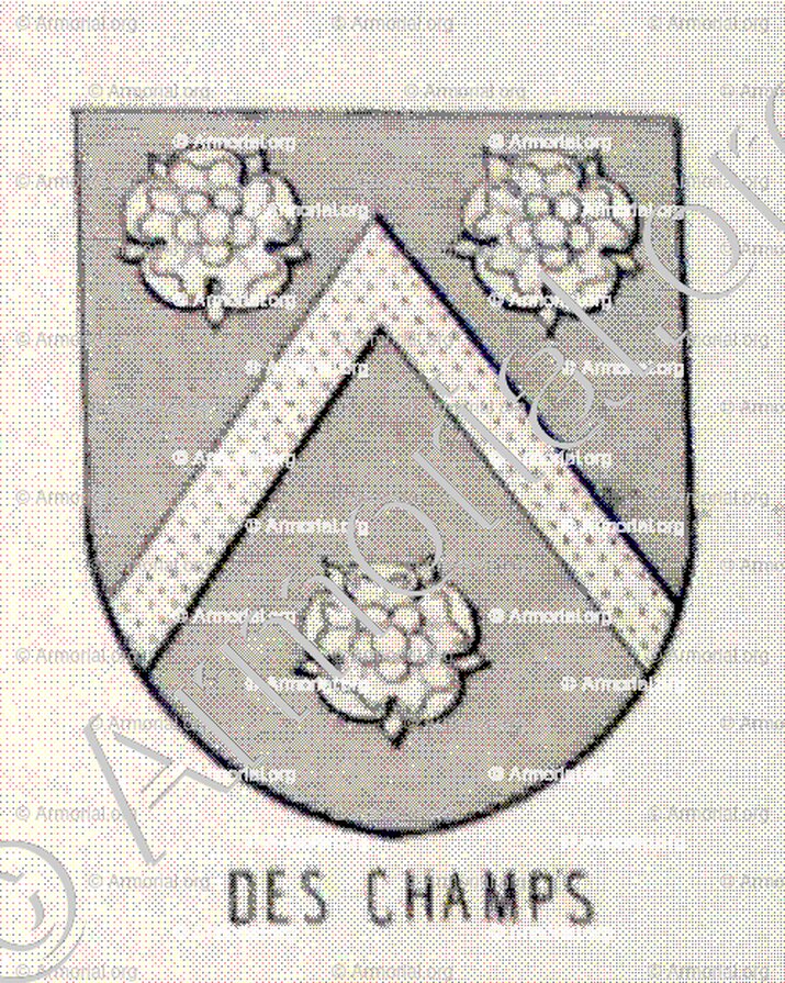 des CHAMPS_Bourbonnais_France (6)