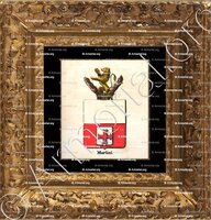 cadre-ancien-or-MARTINI_Armorial royal des Pays-Bas_Europe